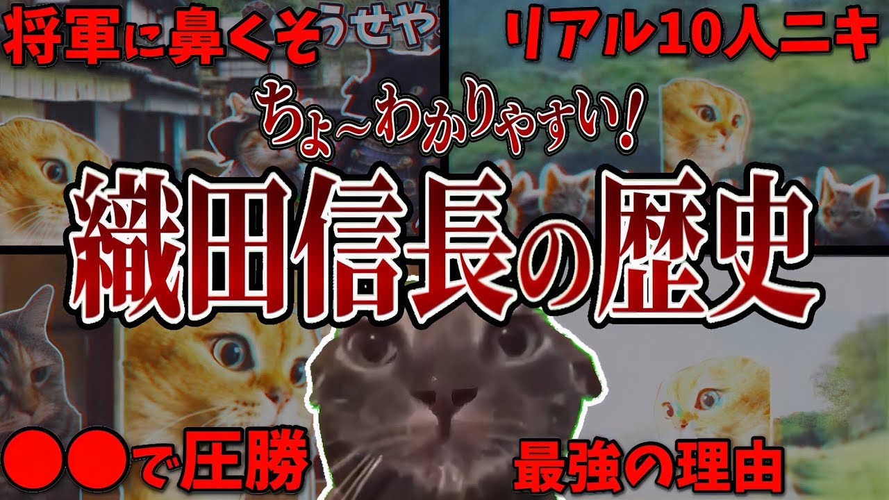 分かりやすすぎる『織田信長』の歴史【猫ミーム】
