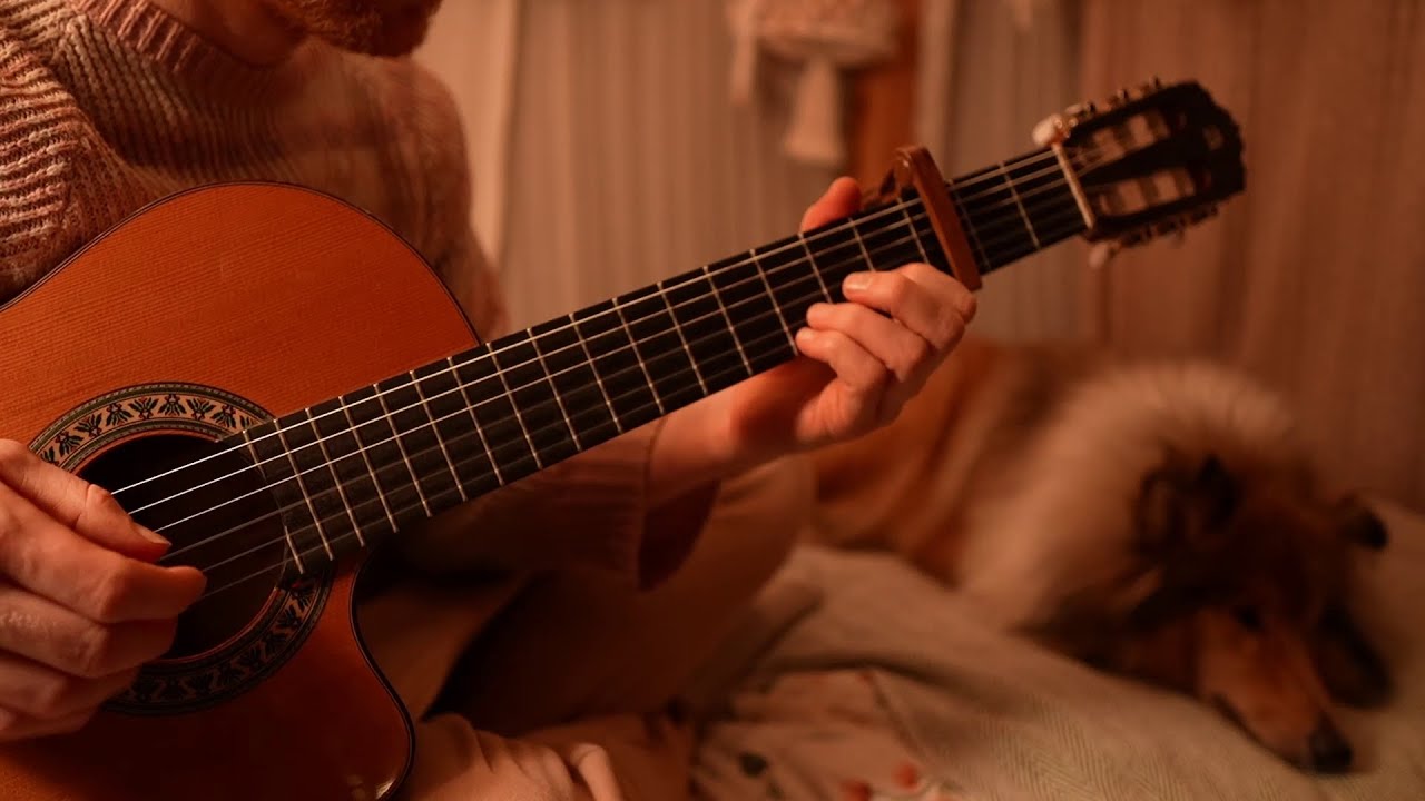 My Neighbour Totoro. Fingerstyle Guitar Arrangement. Path of The Wind. [FREE TABS]