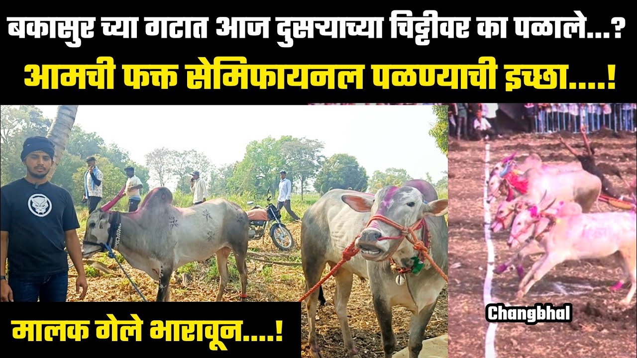 होय आमची चुकी झाली पण....! बकासुर च्या गटात सामना झालेली गाडी !