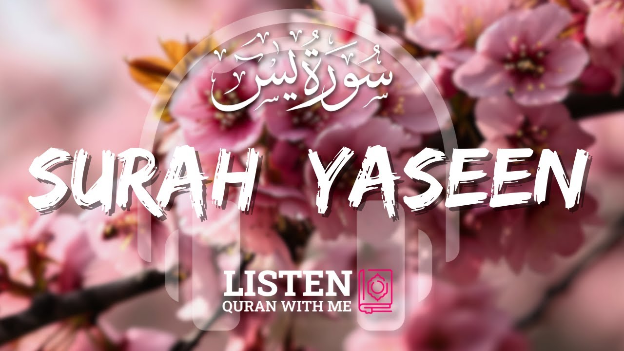 Surah Yaseen | Ya Sin | The Accountability | Omar Hisham Al Arabi | Listen Quran with Me