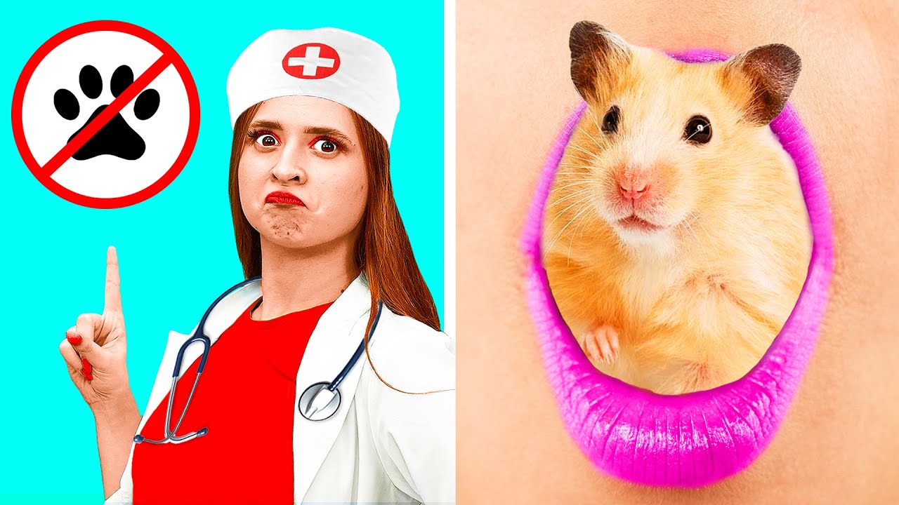 طرق مضحكة لتسلل الحيوانات الأليفة إلى المستشفى | حروب المزحة Happy Fun