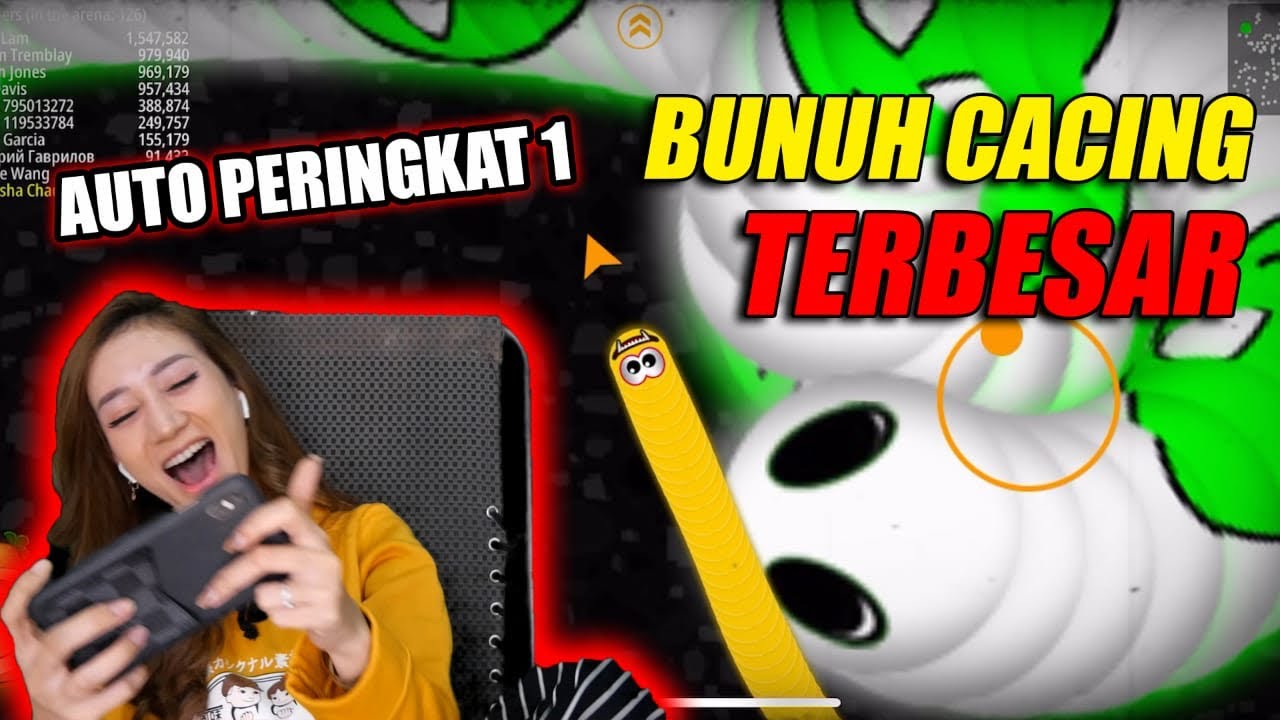 BUNUH CACING ALASKA AUTO GEMUK !!
