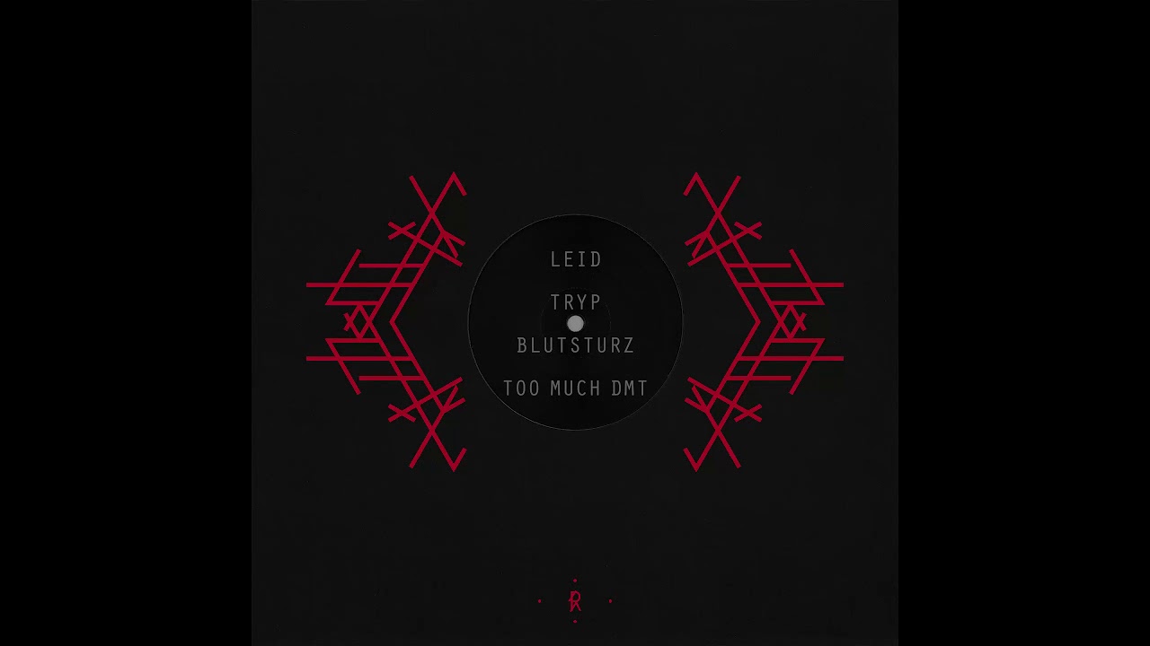 In Verruf - Too Much DMT [RIV1]