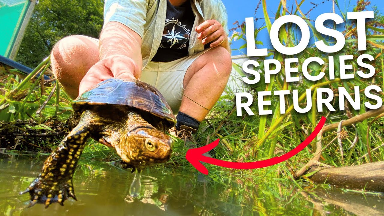 They're bringing back a lost species after 2000 years...