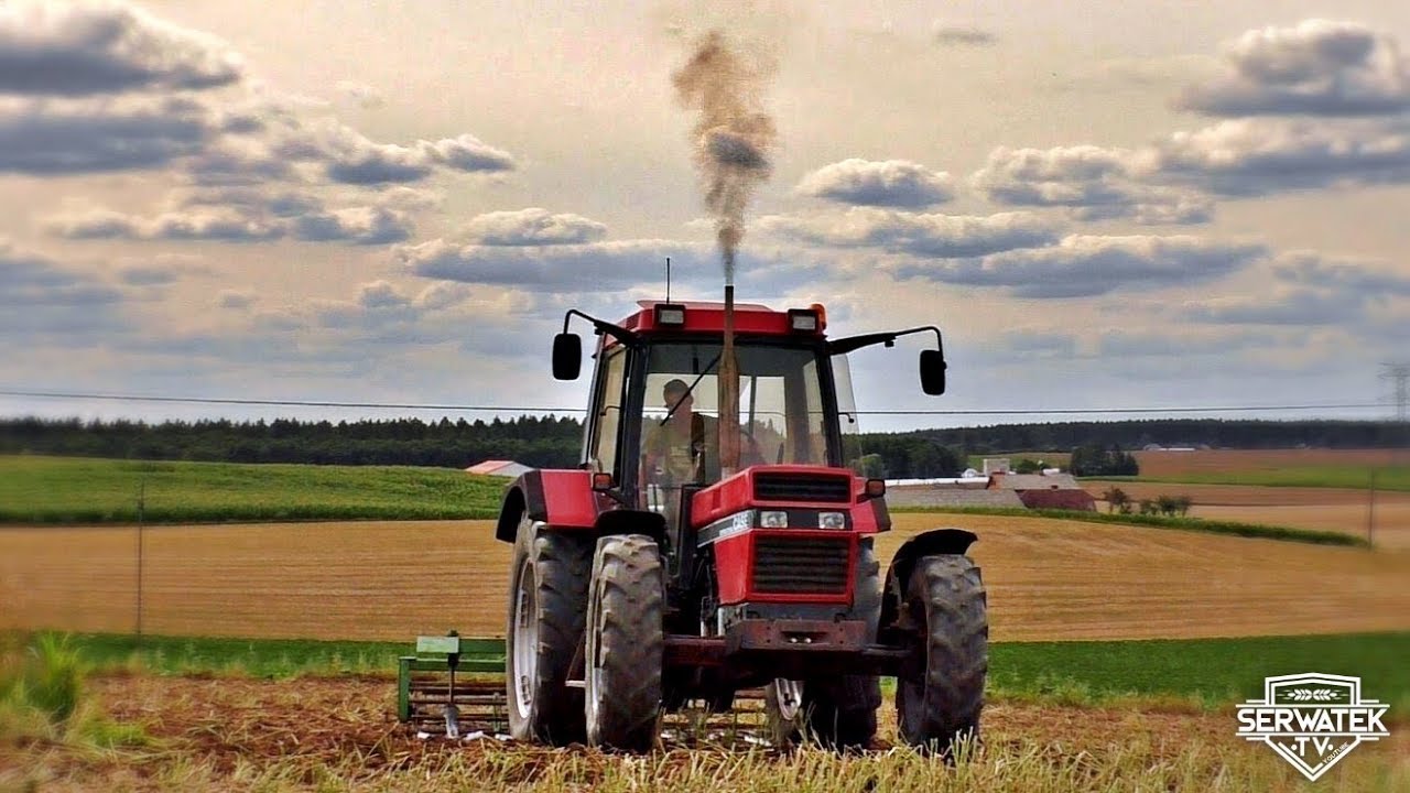 GRUBEROWANIE PO RZEPAKU || CASE INTERNATIONAL 1056XL W AKCJI