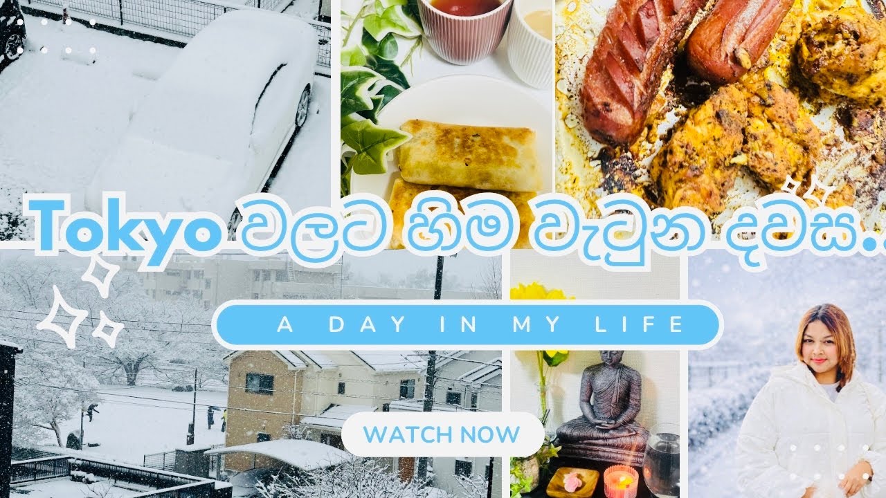 උදෙ නැගිටලා බලද්දි මෙහෙම වෙලා කියලා හිතුවෙ නෑ 🤯|| tokyo වලට හිම වැටුන දවස ❄️🇯🇵