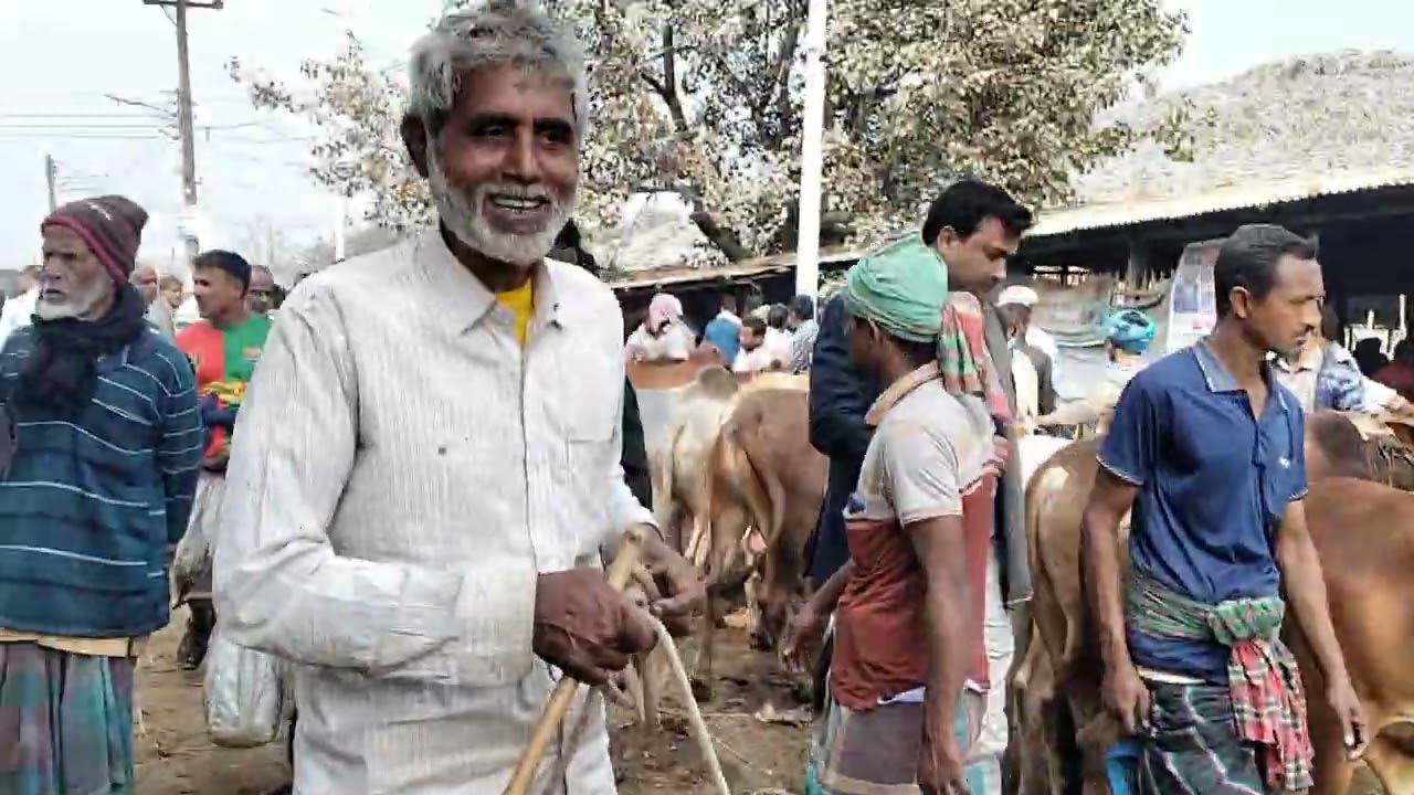 সিটি হাট রাজশাহী # রাজশাহীর সিটি হাট @চলনবিল-ব৬থ @হাম্বা-ঘ৮ঘ @