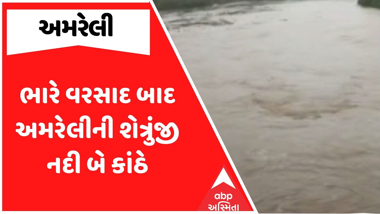 Amreli Heavy Rain | ભારે વરસાદ બાદ અમરેલીની શેત્રુંજી નદી બે કાંઠે | Gujarat Monsoon