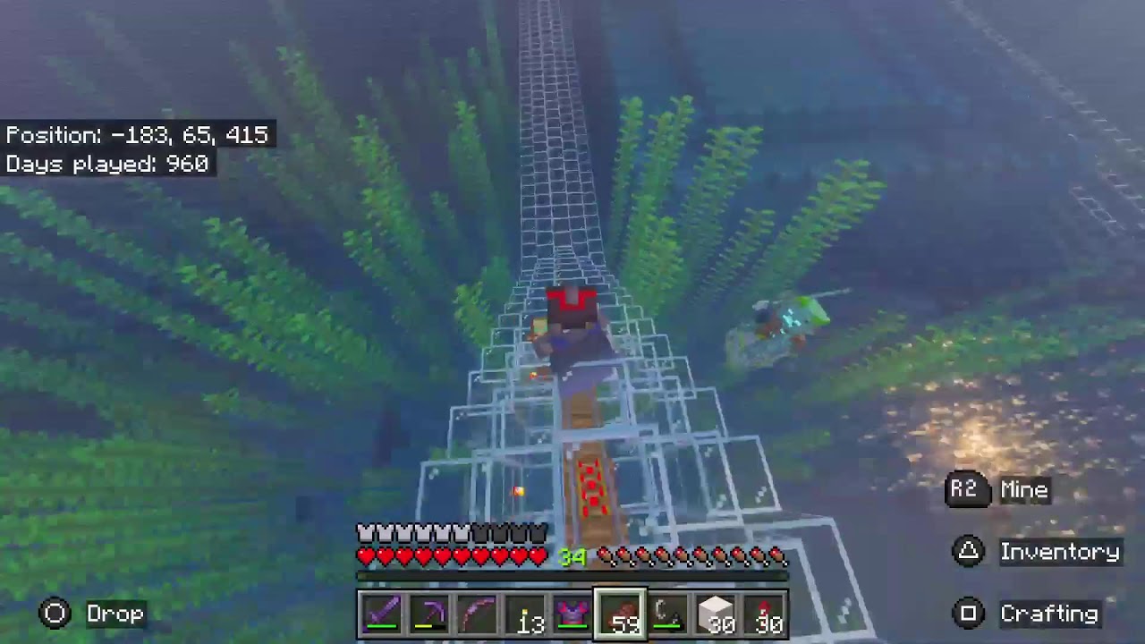 Minecraft SMP with viewers