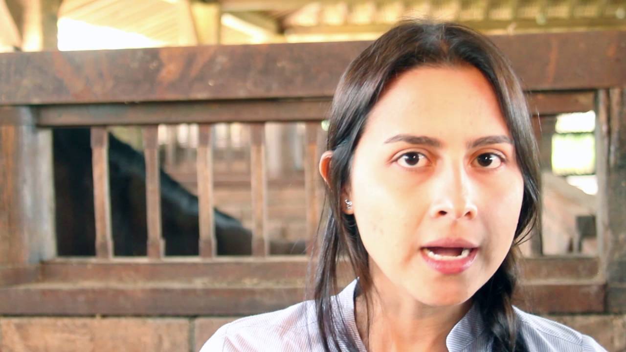 Cómo administrar suplementos líquidos en equinos (Red Cell)