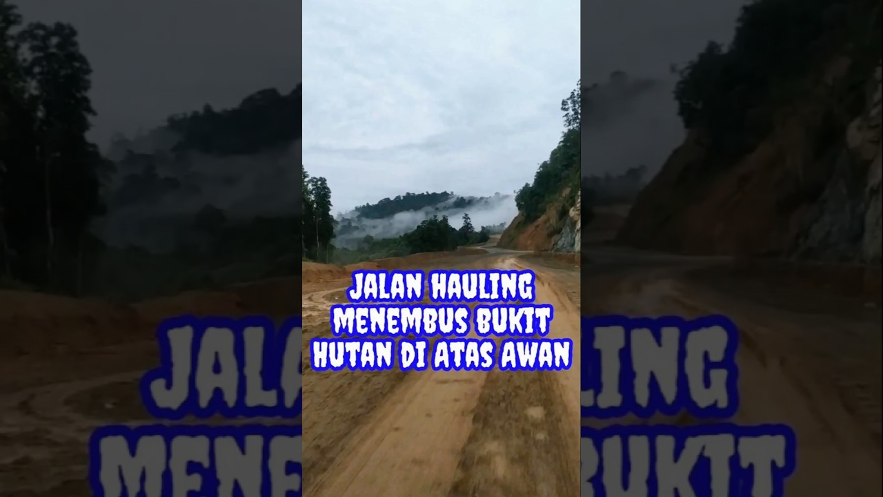 Hauling Road Adventure: Exploring Kalimantan's Breathtaking Landscapes | Jalan Hauling Kaltim-Kalsel
