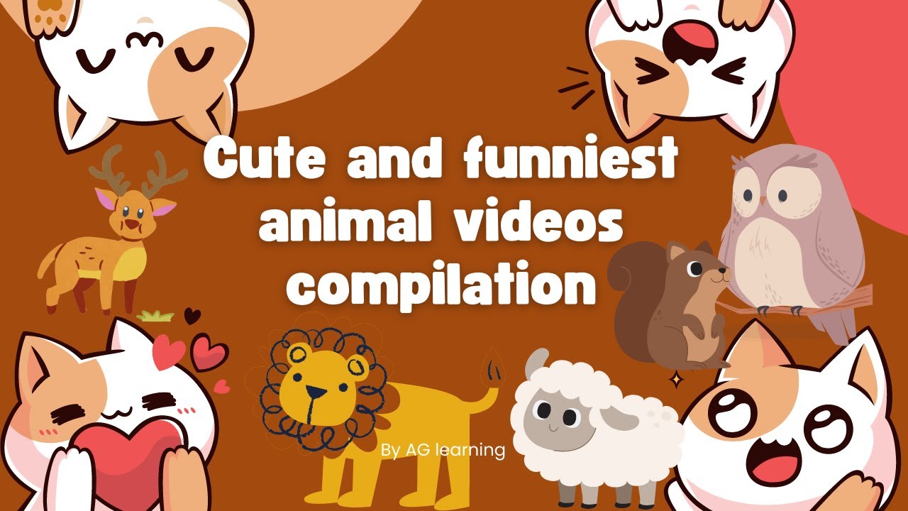 This Animal with Strange Body Parts Will Leave You Shocked!