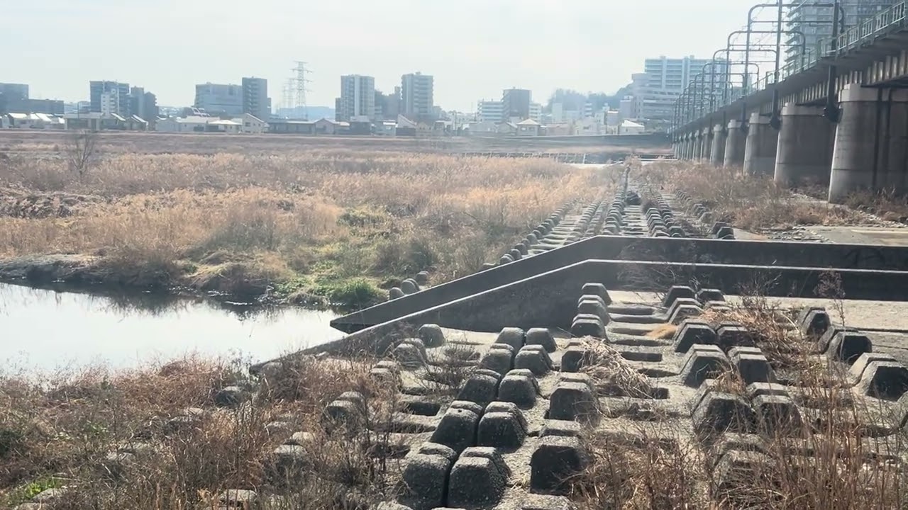 【多摩川事情】是政.関戸橋上京王線調布側下.稲城北公園下　#多摩川おじさん 