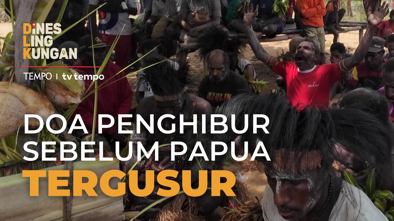Suara Warga yang Terancam Megaproyek Food Estate Merauke di Papua Selatan | Dines Lingkungan Eps #3