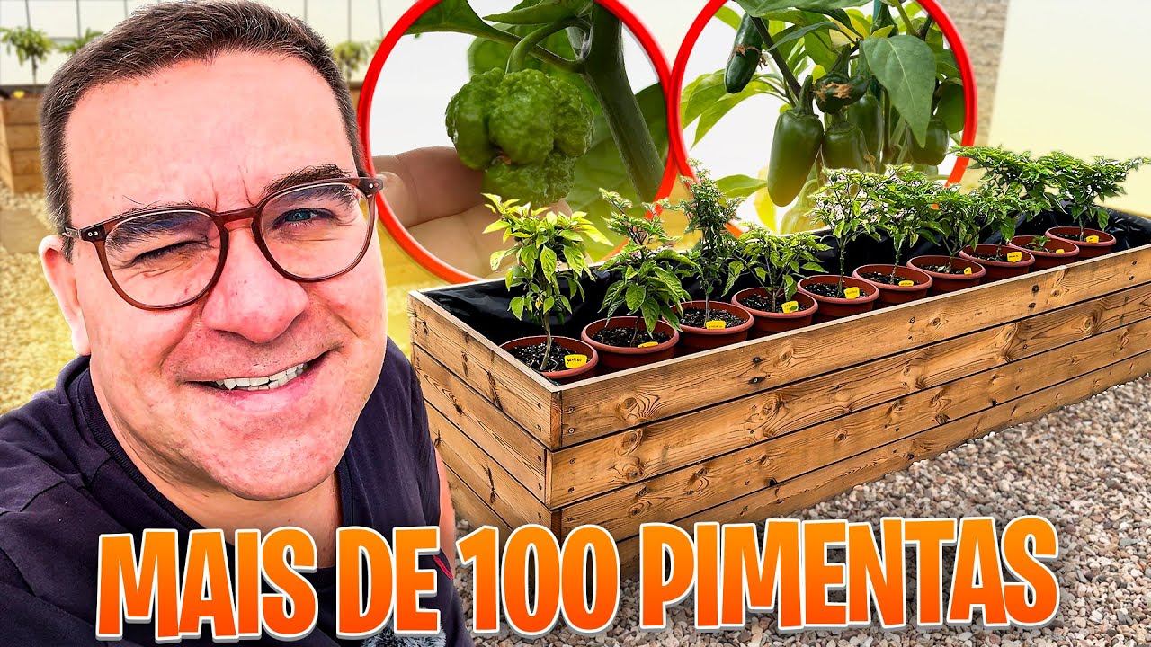 COMPREI SISTEMA DE REGA +100 PIMENTAS NO JARDIM DO FOGO