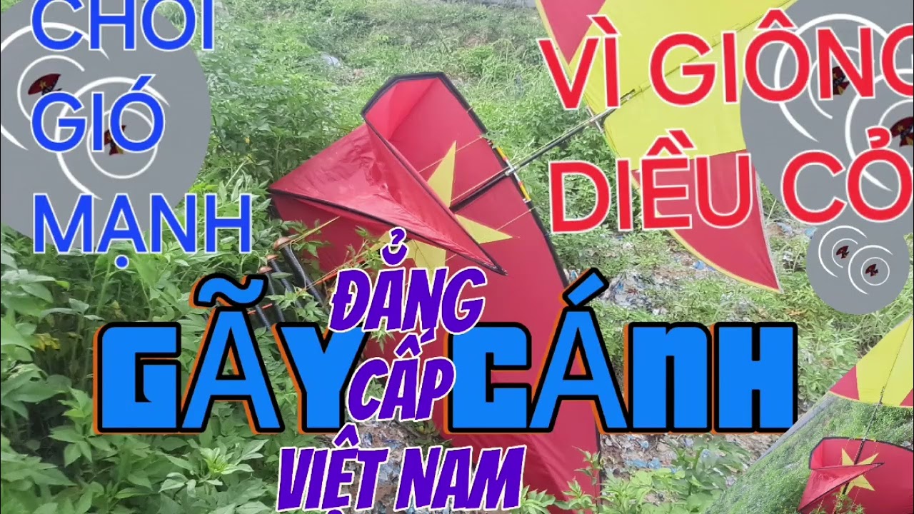 Diều bay nghiêng diều 4,5m gắn sáo hòa âm vip