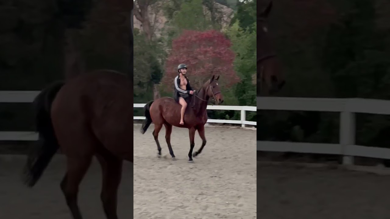 Barefoot, bareback, and hot weather is all I need #thoroughbred #ottb #stalin