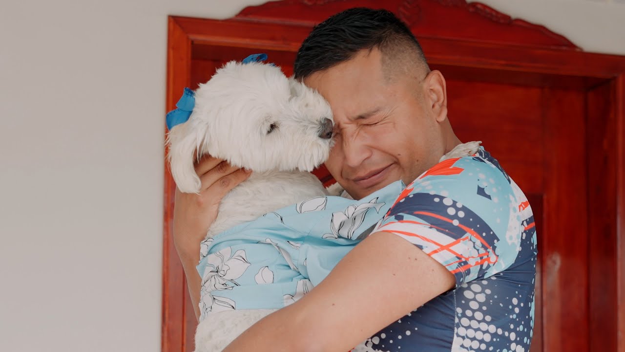 POR PLATA BAILA EL PERRO-SANDRA CUASQUEN
