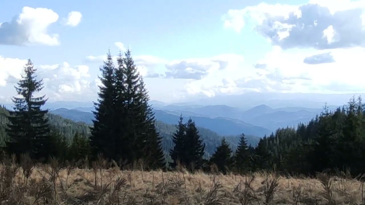 Rhodope Mountain in Bulgaria- Nature panorama view with pine forests