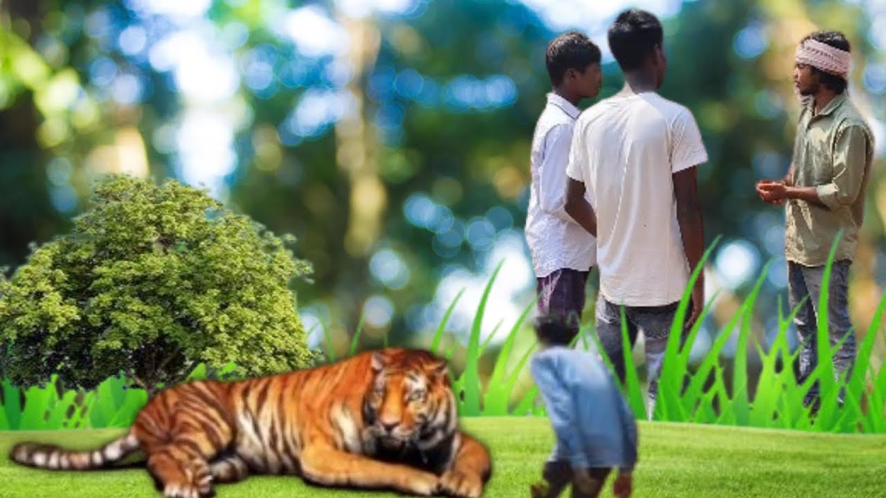 WILD Tiger Attack Caught on Camera!