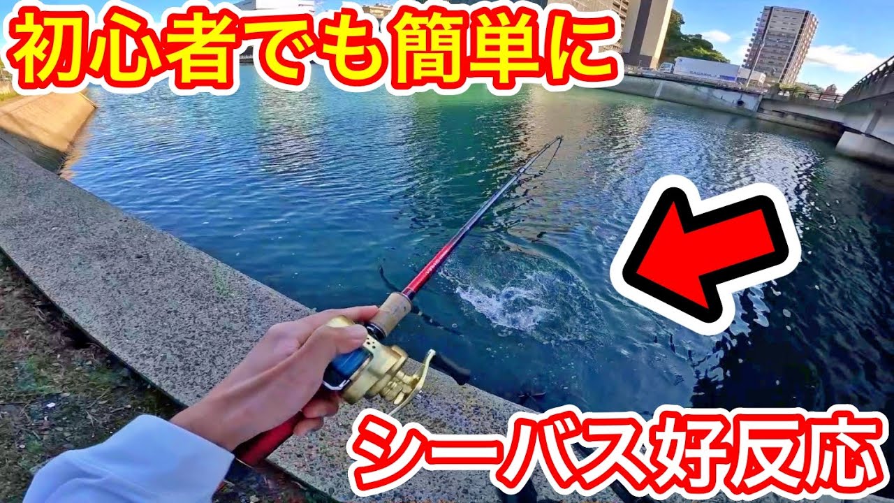 【長崎シーバス釣り】初心者でも釣具のポイントで教えてもらった、おすすめビッグペンシルがあれば簡単にシーバスが釣れる！