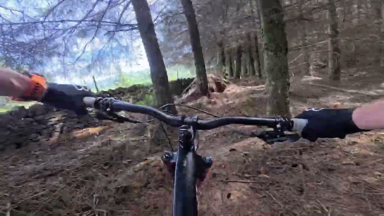 Hamsterley solo off-piste loop