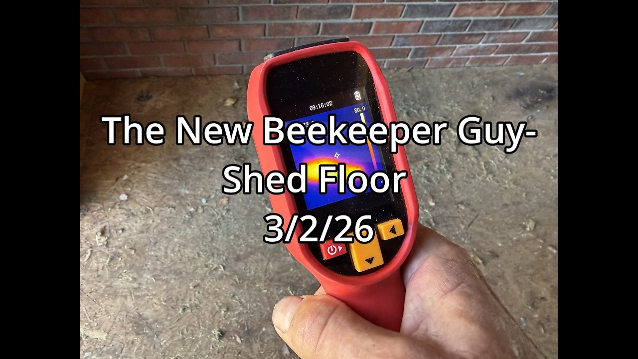 The New Beekeeper Guy-  Shed Floor 3-2-26