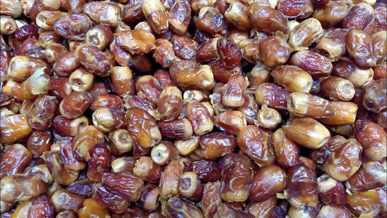 مراحل فرز وغسيل البلح