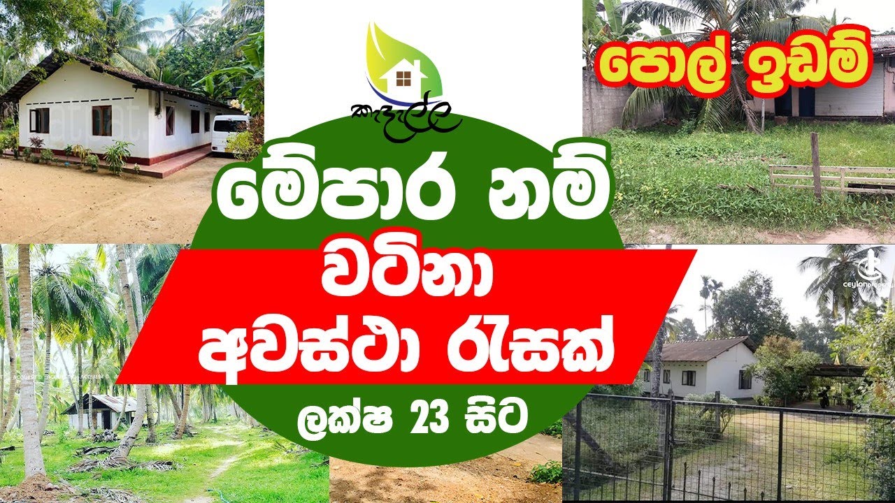 පොල් ඉඩම් ලක්ෂ 23 සිට 🔥Valuable Lands & Houses for Sale | Sri Lanka Property Deals 🔥