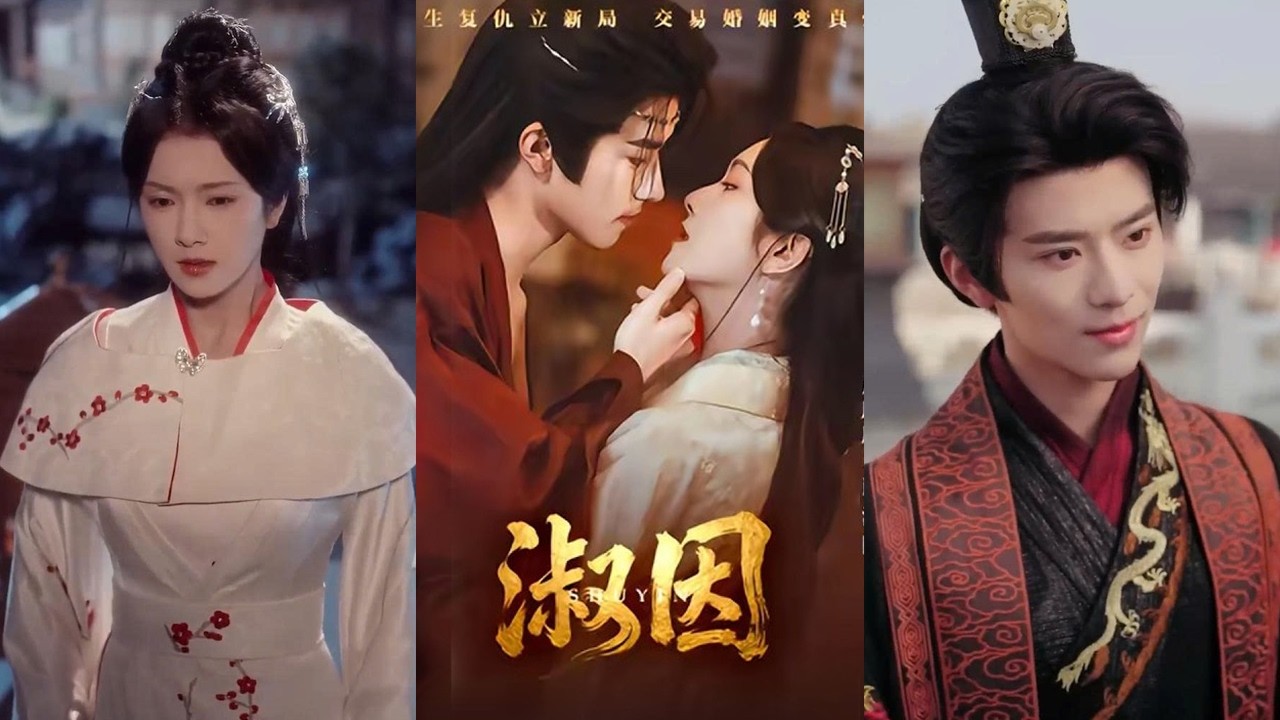 Cô gái trùng sinh ly hôn với thái tử tương lai, gả cho vương gia lật đổ triều đình
