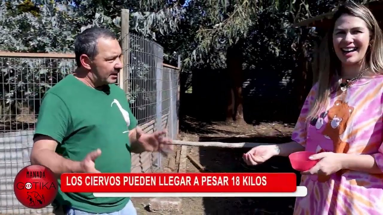 Capitulo 20 criadero de aves Anmella Chile