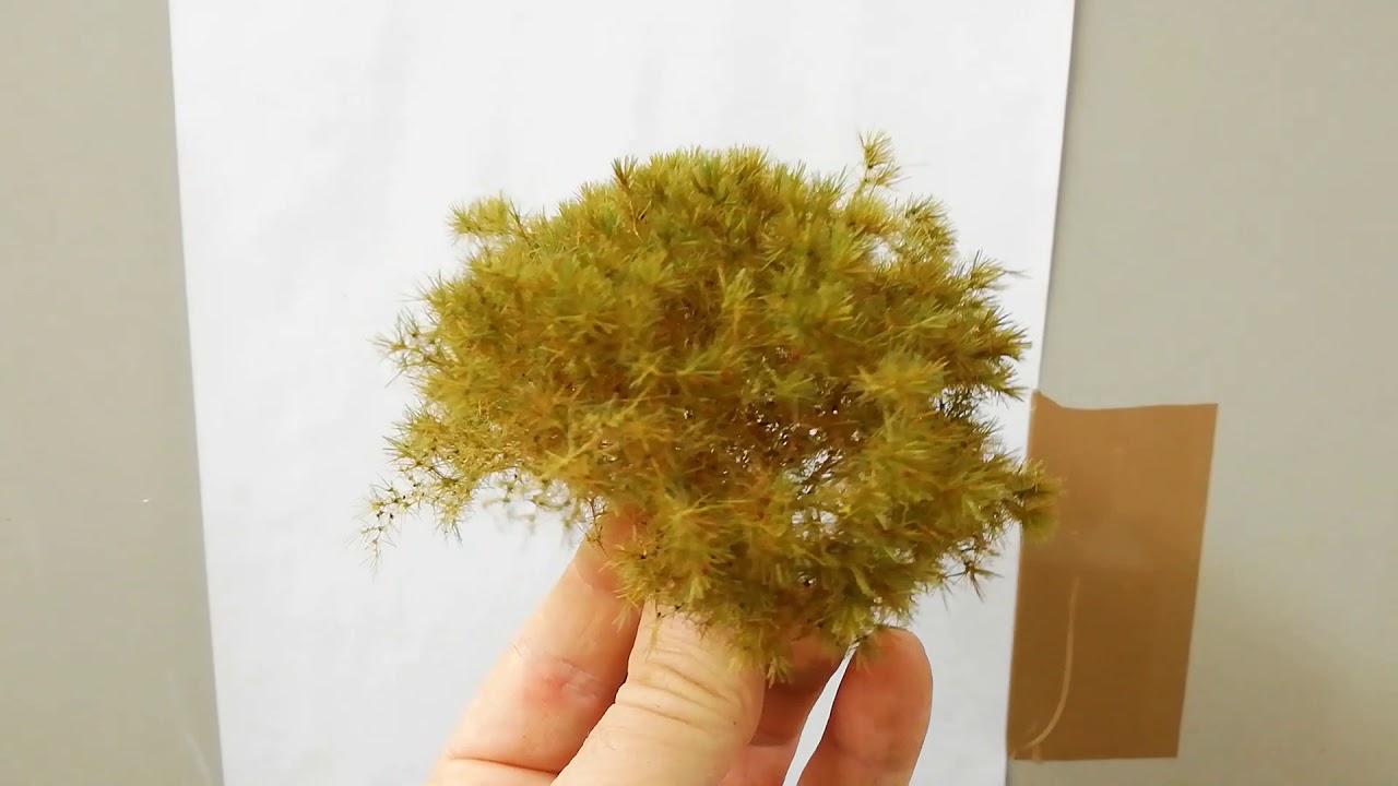 Come realizzare l&rsquo;erba e gli arbusti in miniatura