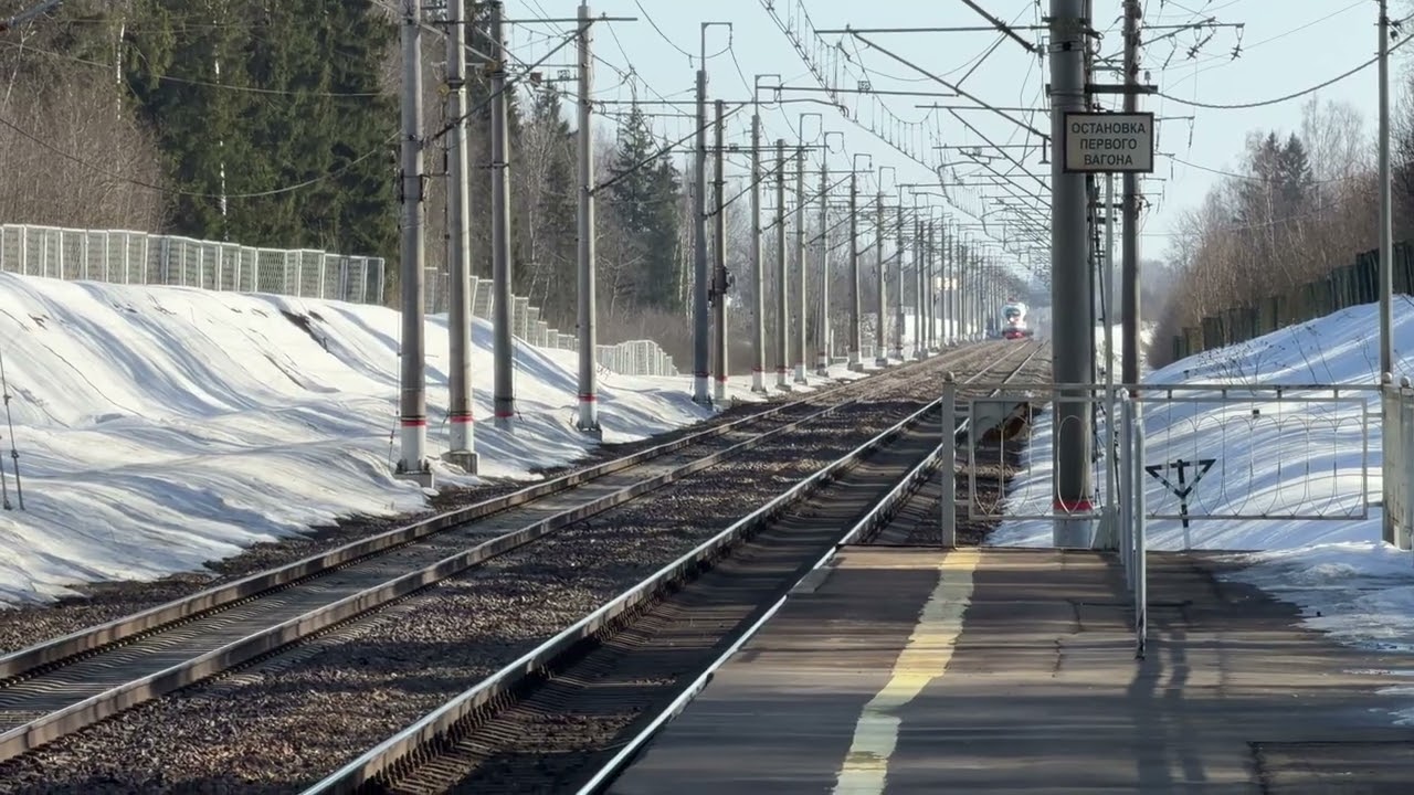 Сапсан пролетает остановочный пункт Сенеж