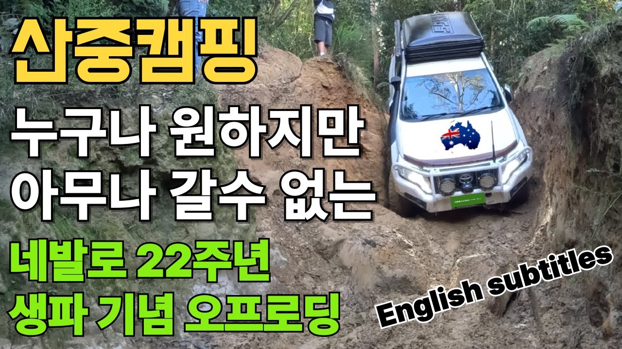 산중캠핑!🏕️누구나 원하지만 아무나 갈수 없는 산이 허락해야 할수있는 캠핑 [호주🇦🇺시드니 이야기EP26] #시드니#캠핑#네발로#기똥찬여행#먹방#일단한번_시작해