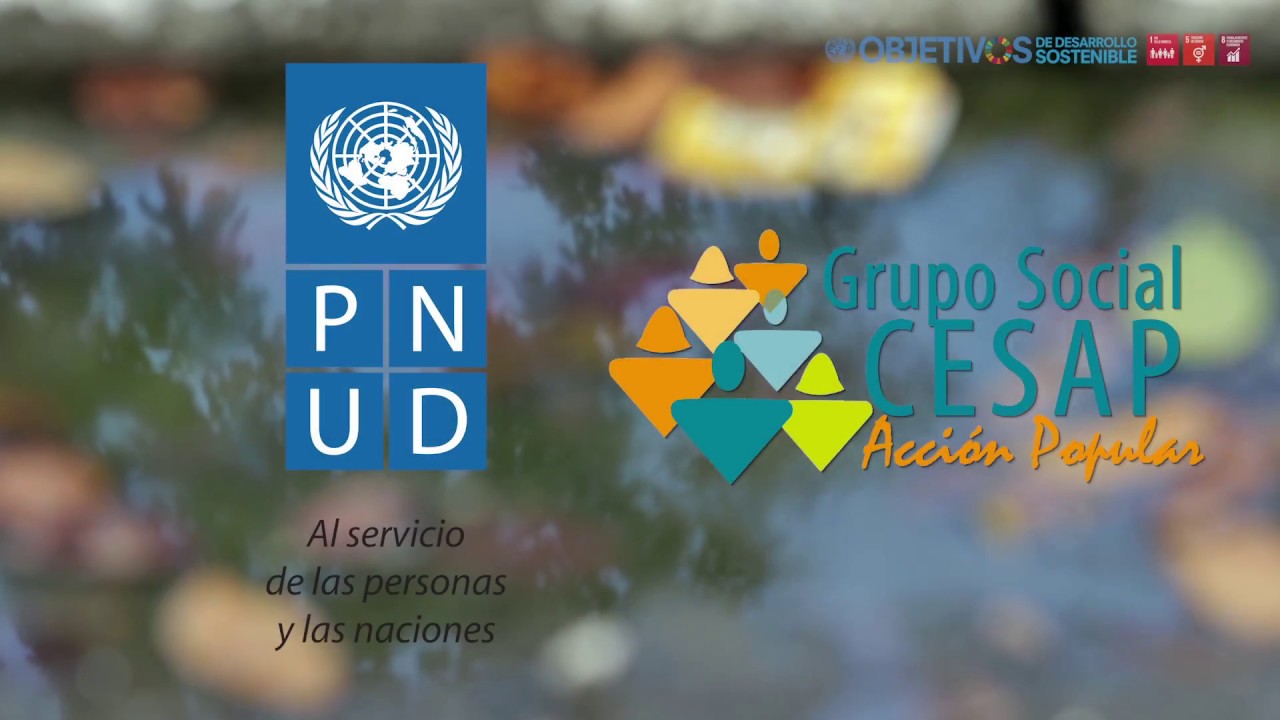 Resumen-Cooperaci&oacute;n Grupo Social CESAP- PNUD Venezuela
