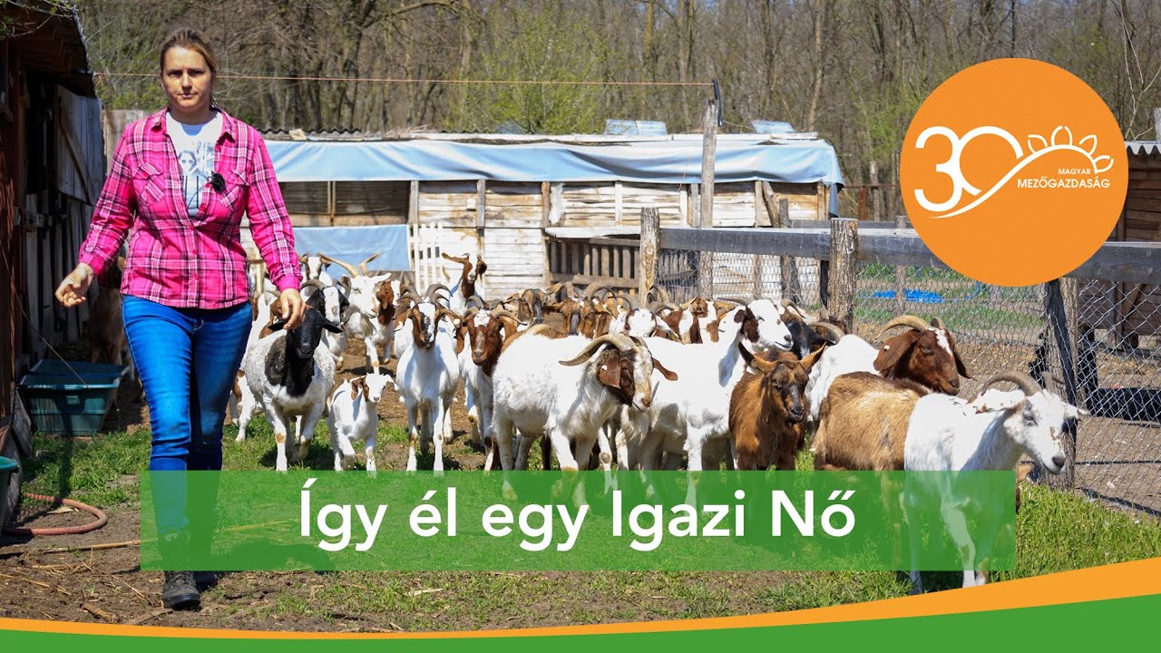 MMG - Ruca Vár - díszmadár és kisállatpark Kiskunhalason