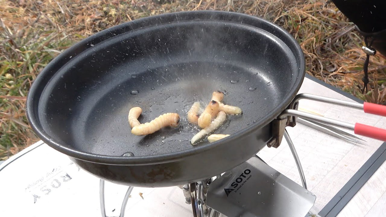 河川敷でクソ美味いイモムシ獲れたからその場で炒めて食べるわ