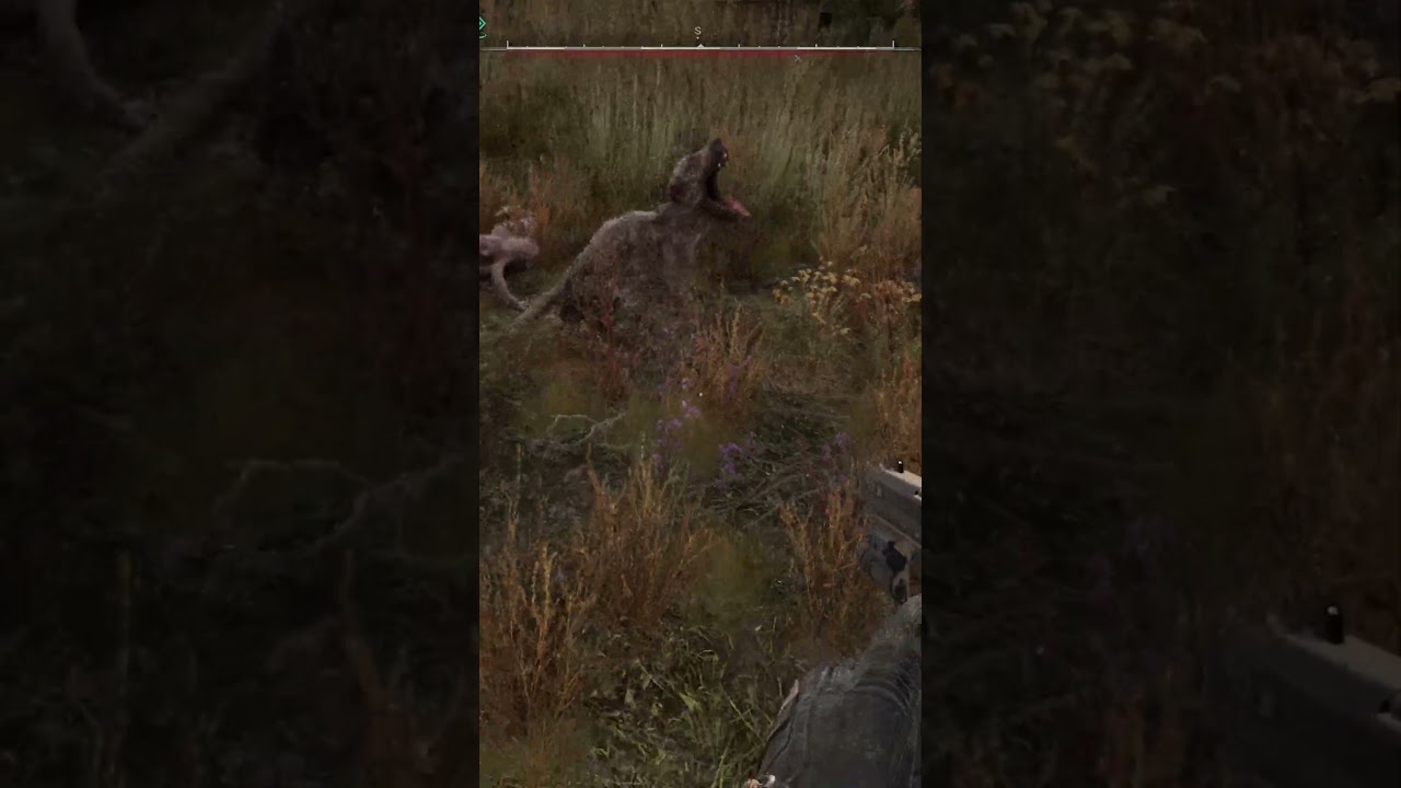 STALKER 2 forest and grass mods are insane
