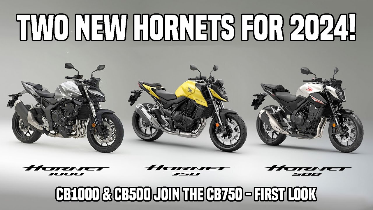 Two new Honda Hornet models for 2024!  CB1000 & CB500 - First look