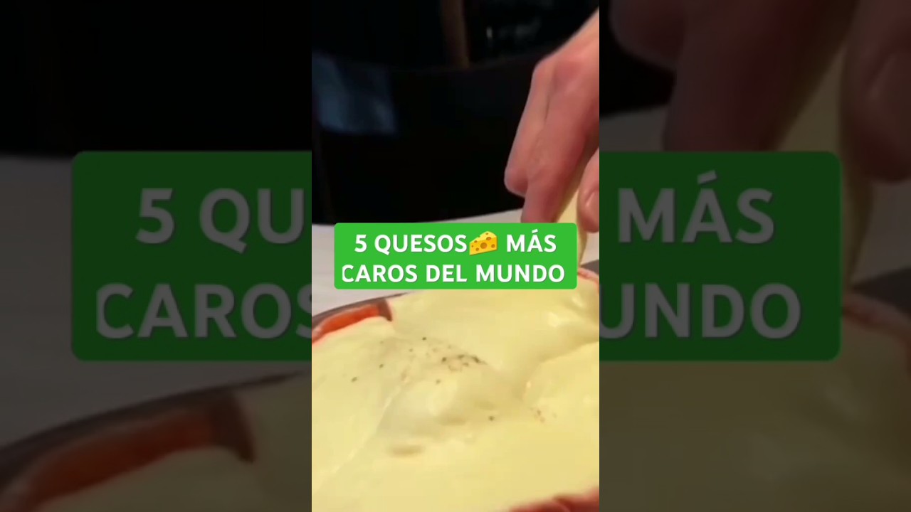 5 QUESOS 🧀 M&Aacute;S CAROS DEL MUNDO #travel #viajeroaaa  #queso #food #alimentos #travesia #lacteos