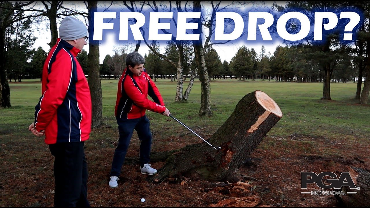 Loose Impediments - Rules of Golf