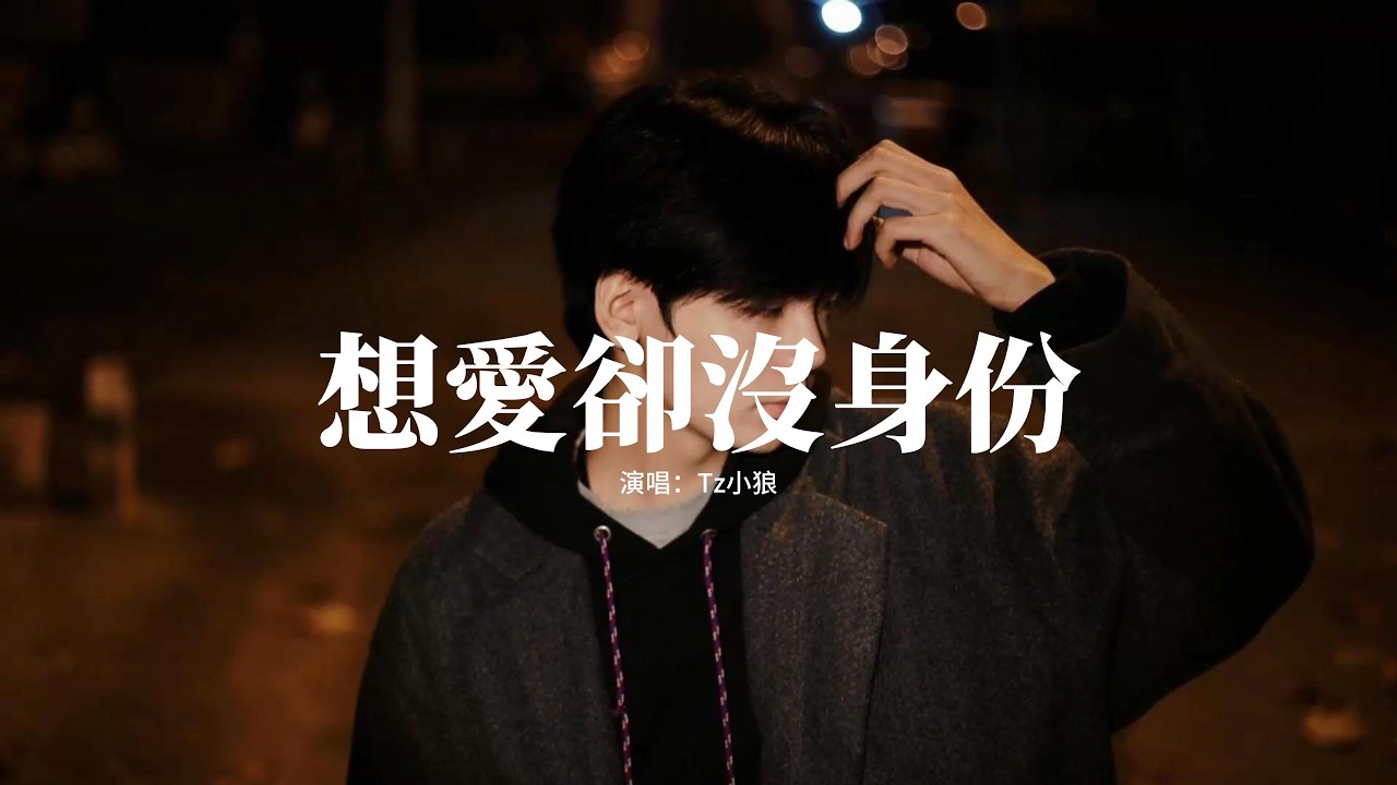 Tz小狼 - 想愛卻沒身份『想愛卻沒身份 想忘又不可能，才明白沒有盡頭的思念有多殘忍，你只來過一程 卻困住我一生，為什麼回憶偏要懲罰愛得多的人。』【動態歌詞MV】