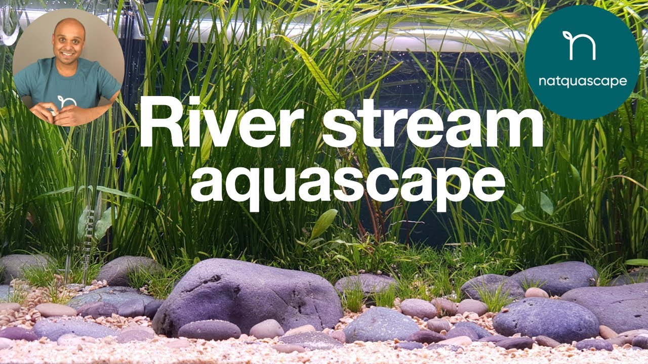 New river stream aquascape (step-by-step guide 2020)