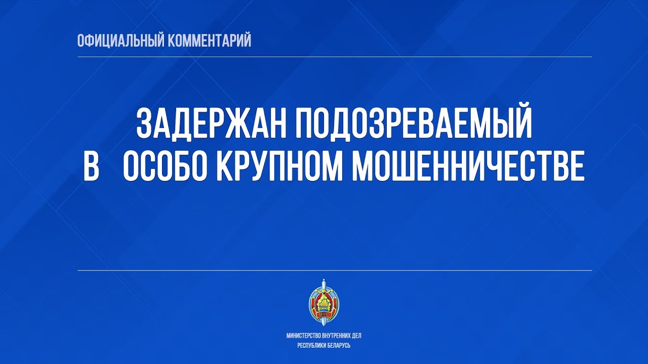 В Литве задержали белоруса, обманувшего на родине семь человек