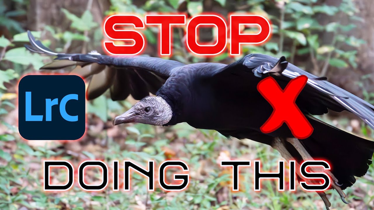 STOP Doing this in Lightroom |  What is excessive processing?