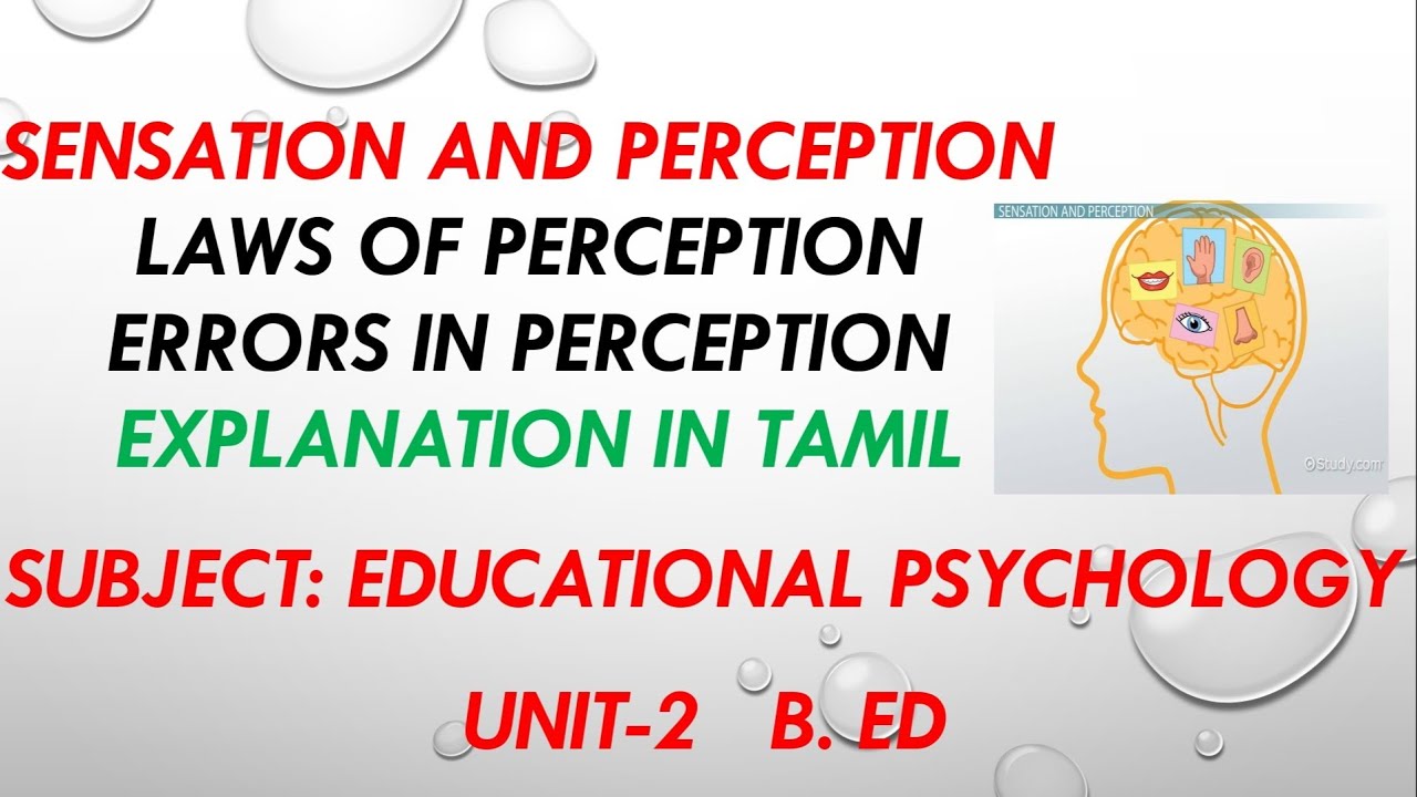 SENSATION AND PERCEPTION, LAWS AND ERRORS IN PERCEPTION EXPLANATION IN TAMIL.@Starsclassroom99B.ED