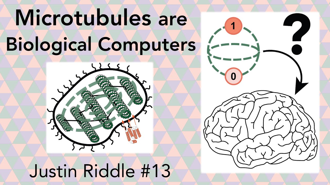 #13 - Microtubules are Biological Computers: searching for the mind of a cell