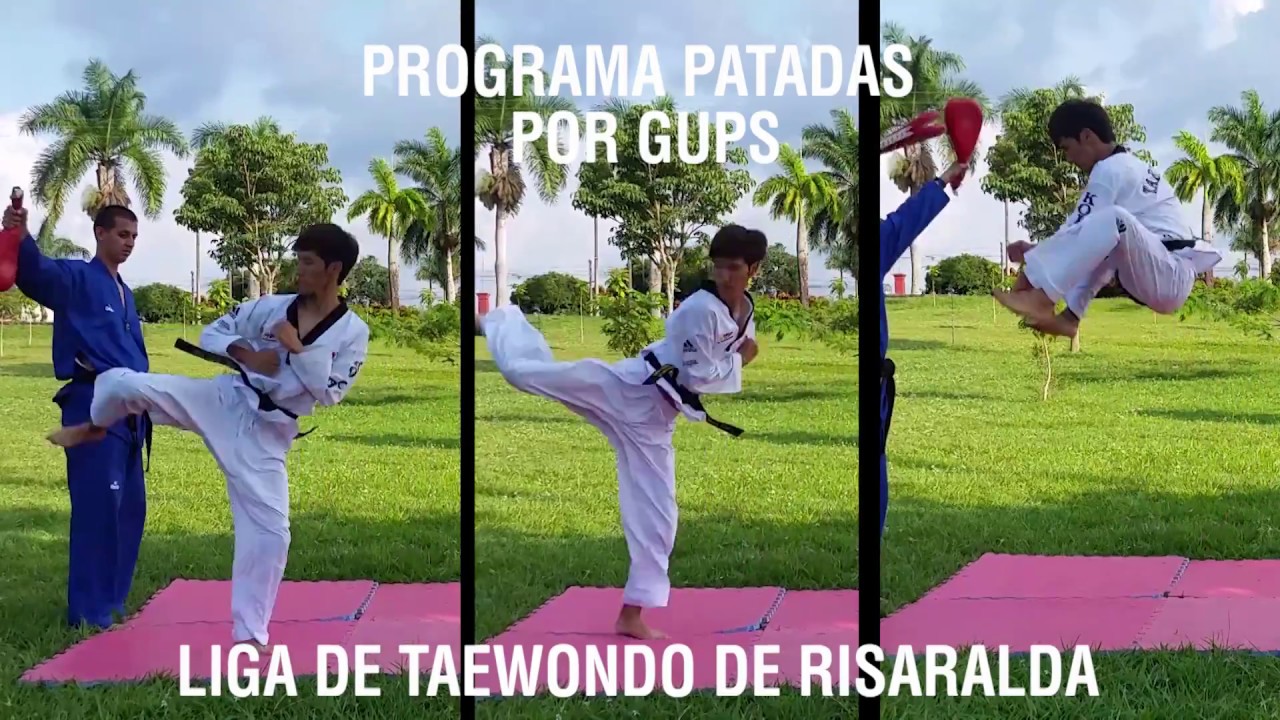 PROGRAMA LIGA TAEKWONDO RISARALDA