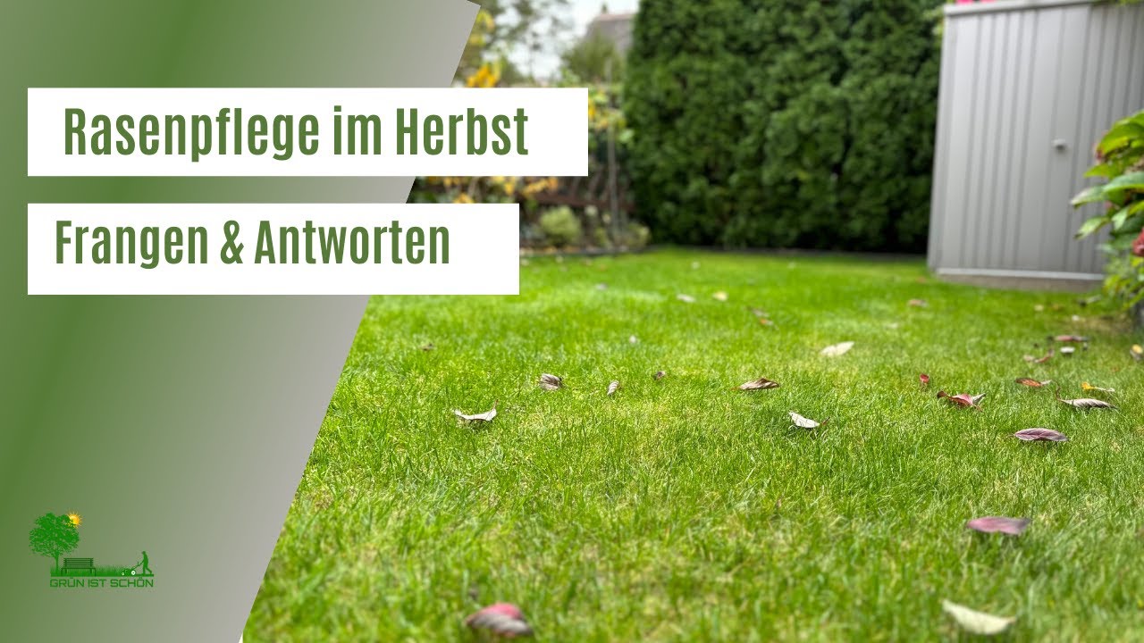 Rasenpflege im Herbst | Was braucht der Rasen im Herbst | Nachs&auml;en | D&uuml;ngen | Sanden | Vertikutieren