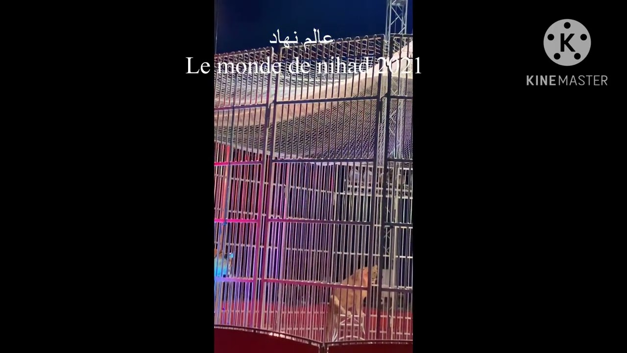 Cirque 🎪 🤡 franco -belge partie 1سيرك فرونكوا بيلج
